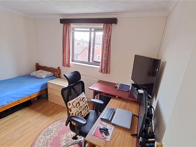 Picture 29